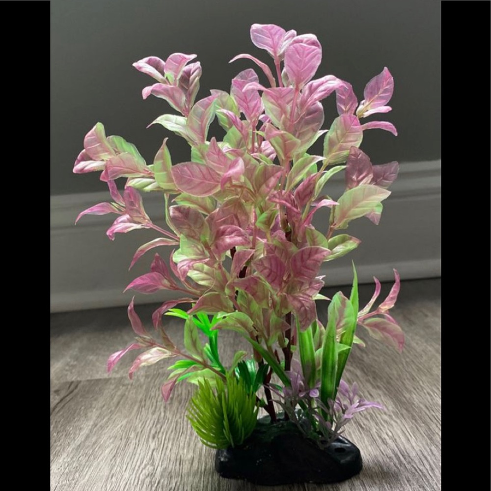 Fish tank decor